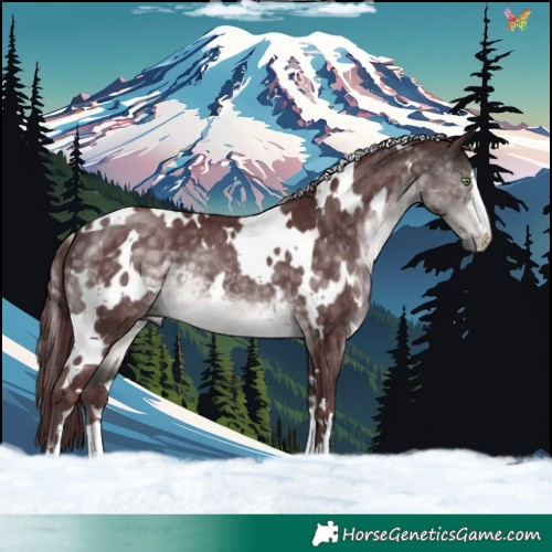 Horse Color:Platinum White Spotted Chocolate Buckskin 