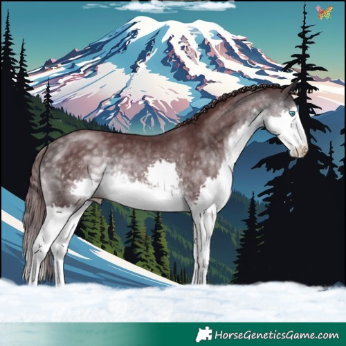 Horse Color:Platinum Chocolate Buckskin Splash 