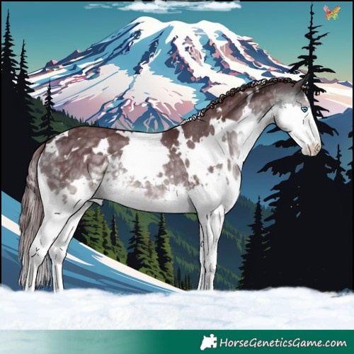 Horse Color:Platinum White Spotted Chocolate Buckskin Splash 