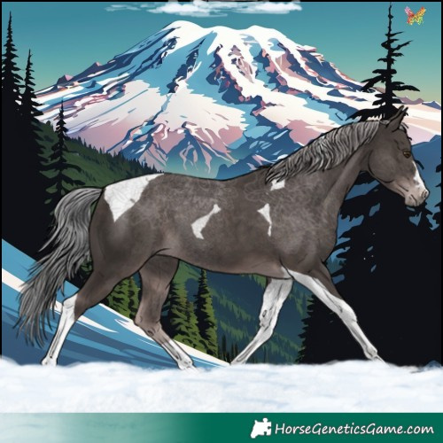 Horse Color:Platinum Liver Chestnut Tobiano 