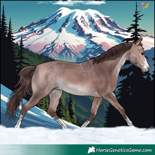 Horse Color:Platinum Chocolate Bay 