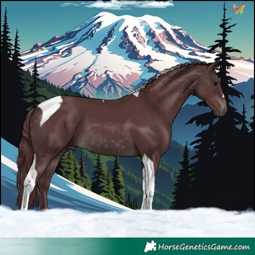 Horse Color:Platinum Chocolate Brown Tobiano 