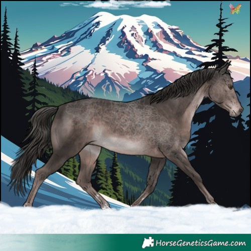 Horse Color:Platinum Liver Chestnut 