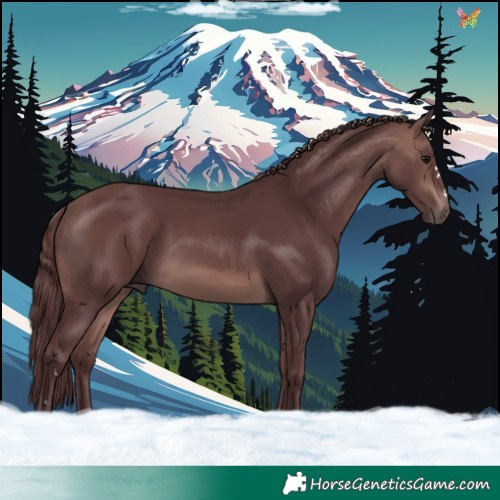 Horse Color:Platinum Chocolate Bay 