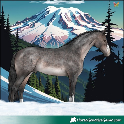 Horse Color:Platinum Brown 