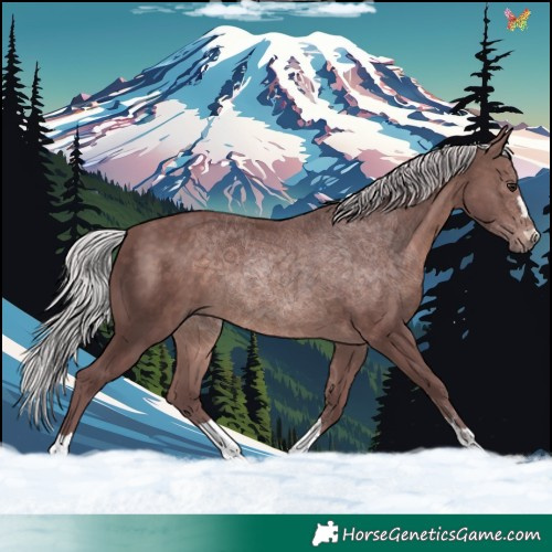 Horse Color:Platinum Chocolate Silver Brown 