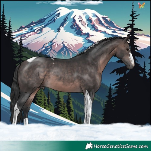 Horse Color:Platinum Brown Tobiano 