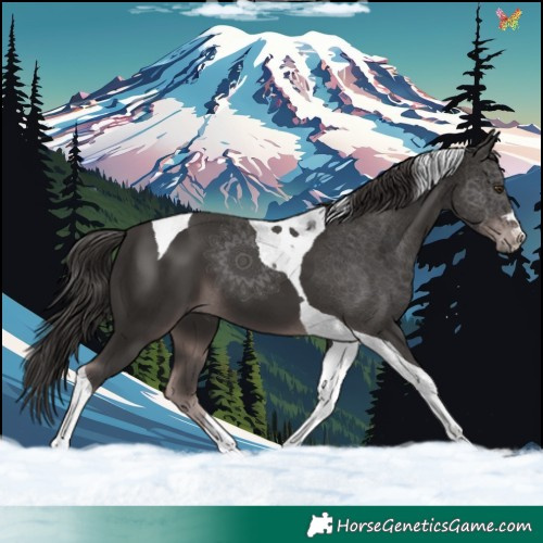 Horse Color:Platinum Liver Chestnut Tobiano 