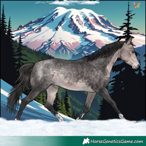Horse Color:Platinum Buckskin 
