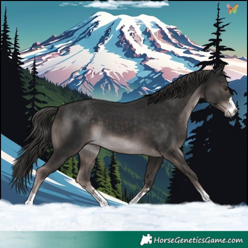 Horse Color:Platinum Liver Chestnut 