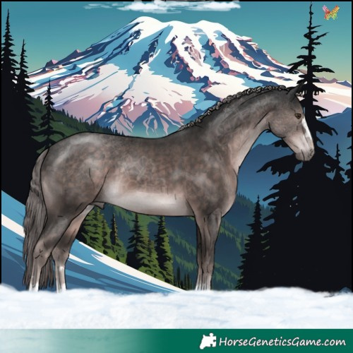 Horse Color:Platinum Liver Chestnut 
