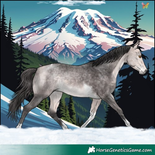 Horse Color:Platinum Buckskin Tobiano 