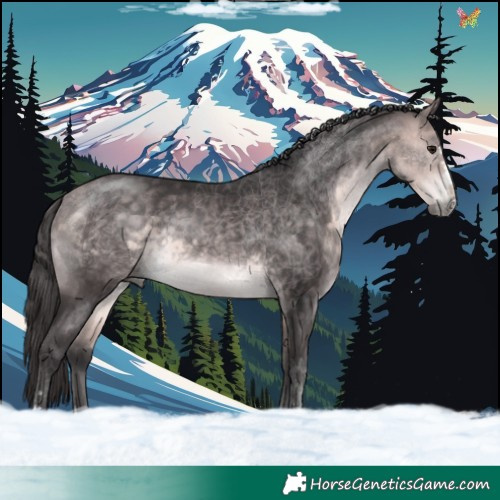 Horse Color:Platinum Buckskin 