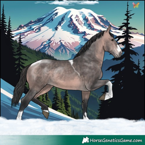 Horse Color:Platinum Bay Tobiano 