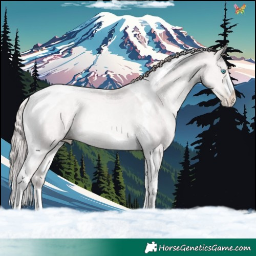 Horse Color:Platinum Chocolate Buckskin Pearl Dun Tobiano 