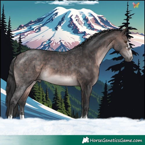 Horse Color:Platinum Brown 