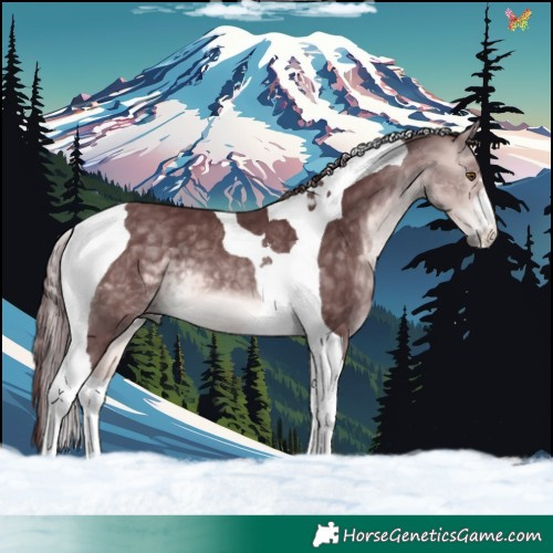 Horse Color:Platinum Chocolate Buckskin Tobiano 