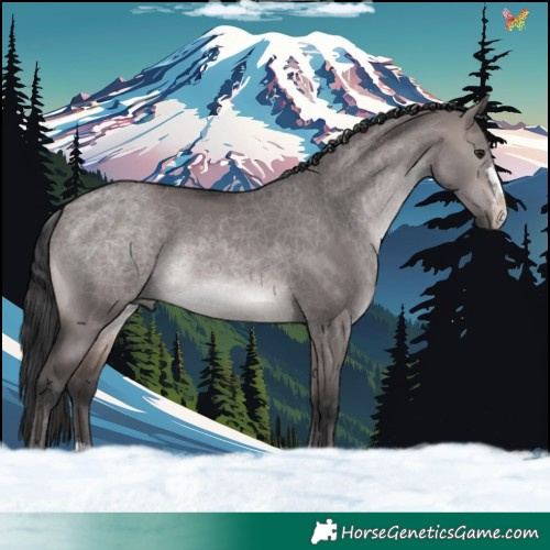 Horse Color:Platinum Brown Dun 