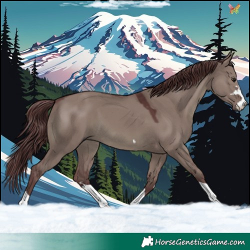 Horse Color:Platinum Chocolate Smoky Grullo 