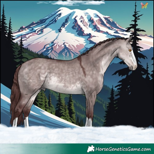 Horse Color:Platinum Chocolate Buckskin Dun 