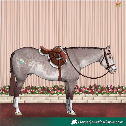 Horse Color:Platinum Chocolate Buckskin Dun 