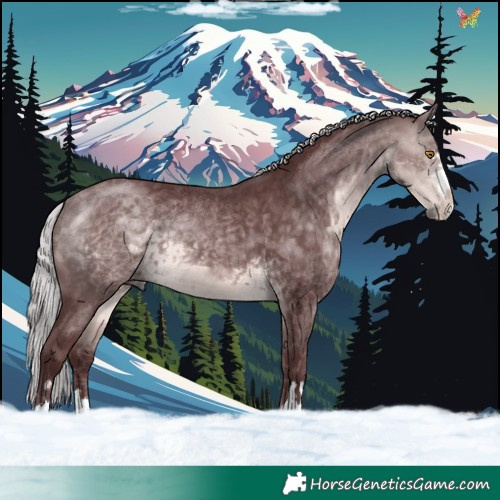 Horse Color:Platinum Chocolate Silver Buckskin 