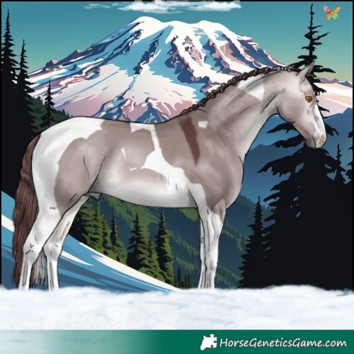 Horse Color:Platinum Chocolate Buckskin Dun Tobiano 