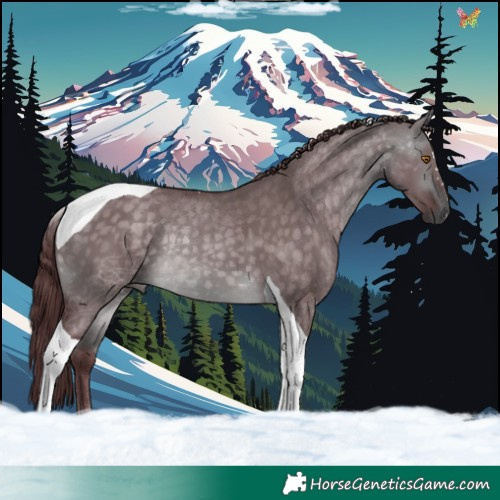 Horse Color:Platinum Chocolate Buckskin Dun Tobiano 