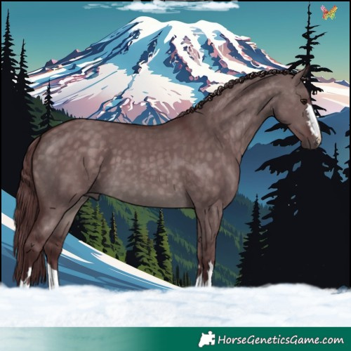 Horse Color:Platinum Chocolate Brown Dun 
