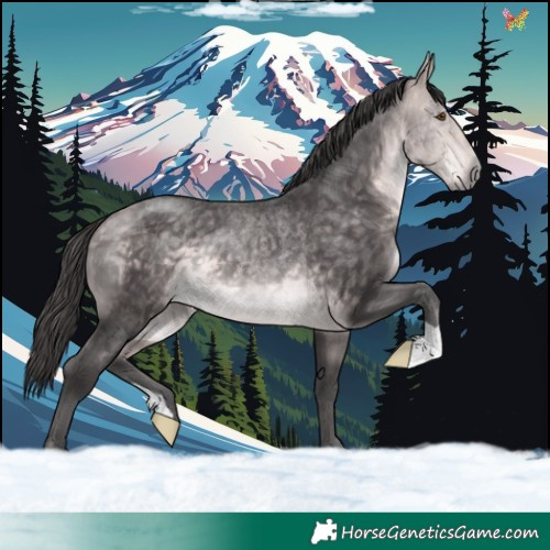Horse Color:Platinum Buckskin 