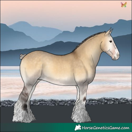 Horse Color:Silver Buckskin Onyx 
