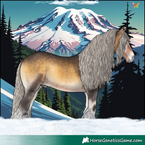 Horse Color:Silver Buckskin Onyx 