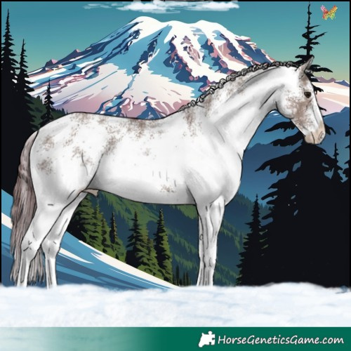 Horse Color:White Spotted Chocolate Smoky Grullo 