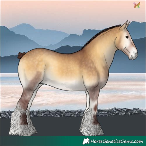 Horse Color:Chocolate Buckskin Onyx 