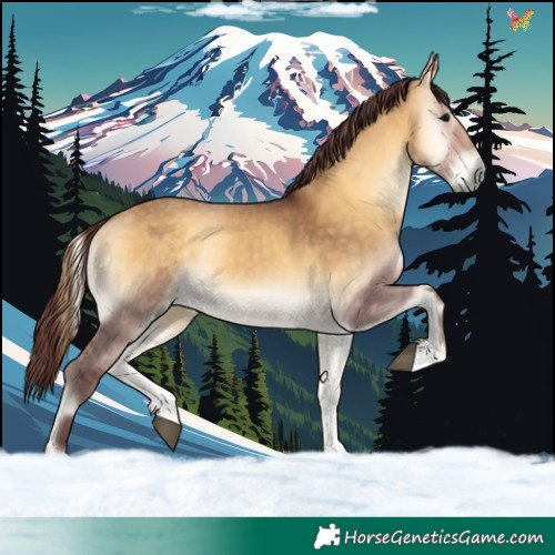 Horse Color:Chocolate Buckskin Onyx 