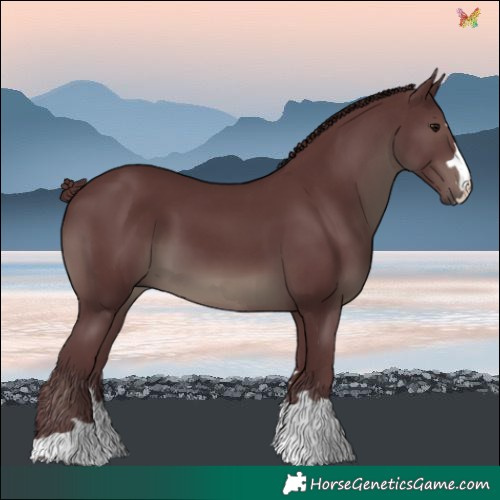 Horse Color:Chocolate Smoky Black 