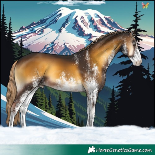 Horse Color:White Spotted Chocolate Palomino Onyx 