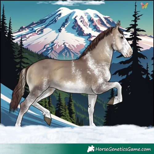 Horse Color:White Spotted Chocolate Smoky Grullo Onyx 