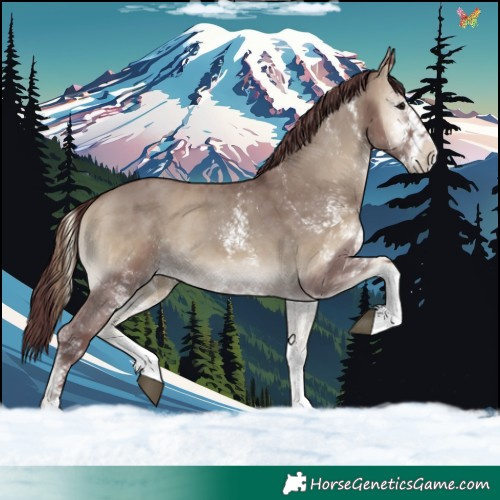 Horse Color:White Spotted Chocolate Smoky Grullo Onyx 