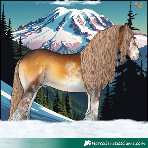 Horse Color:White Spotted Chocolate Palomino Onyx 