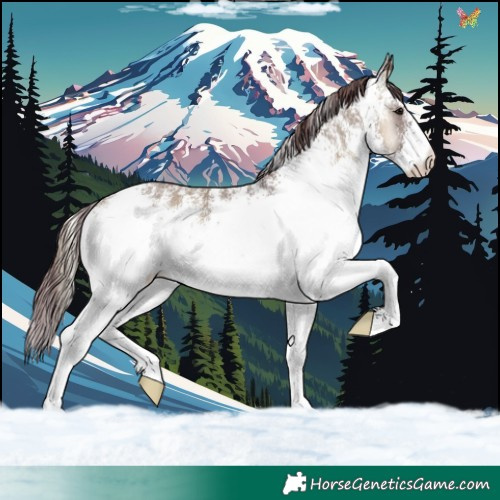 Horse Color:White Spotted Chocolate Smoky Grullo Onyx 