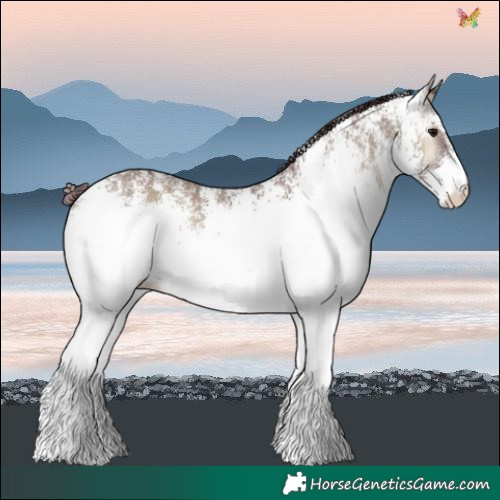 Horse Color:White Spotted Chocolate Smoky Grullo Onyx 