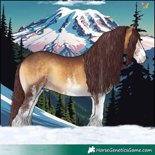 Horse Color:White Spotted Chocolate Buckskin Onyx 