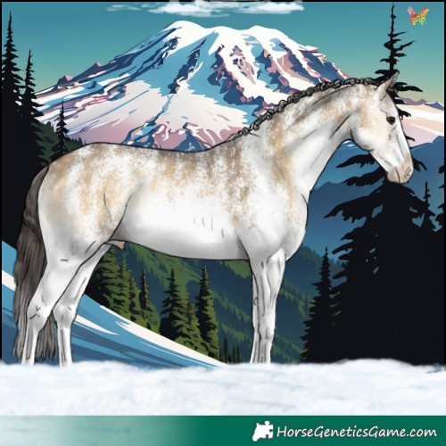 Horse Color:White Spotted Buckskin Onyx 