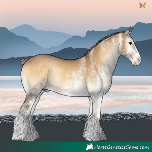 Horse Color:White Spotted Chocolate Palomino Onyx 