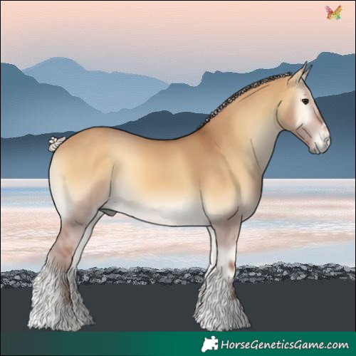 Horse Color:Chocolate Silver Buckskin Onyx 