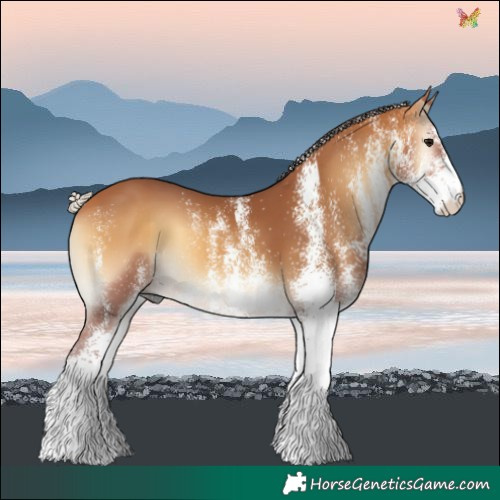 Horse Color:White Spotted Chocolate Silver Buckskin Onyx 