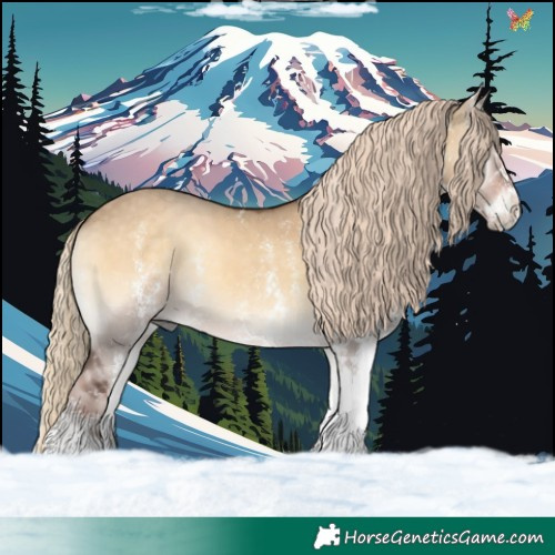 Horse Color:White Spotted Chocolate Palomino Onyx 
