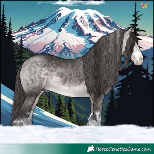 Horse Color:Platinum Buckskin 