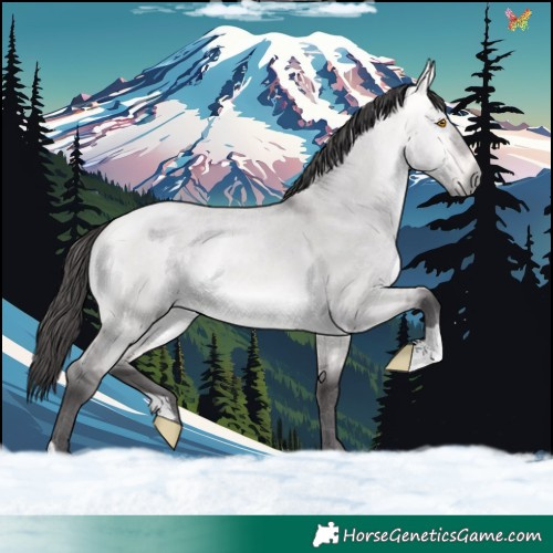 Horse Color:Platinum Buckskin Dun 